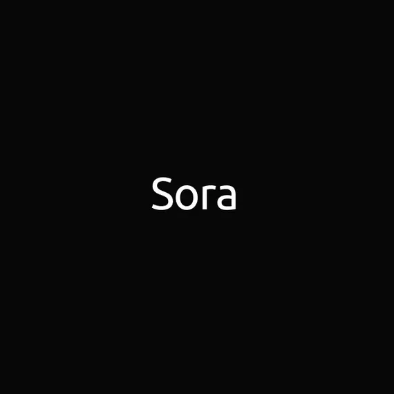 Sora-превью