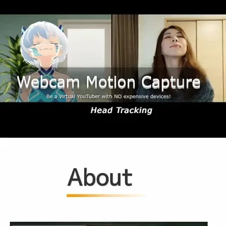 Webcam Motion Capture-превью