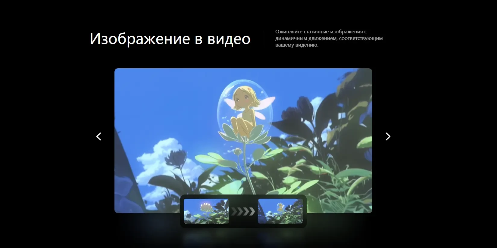 изображение в видео