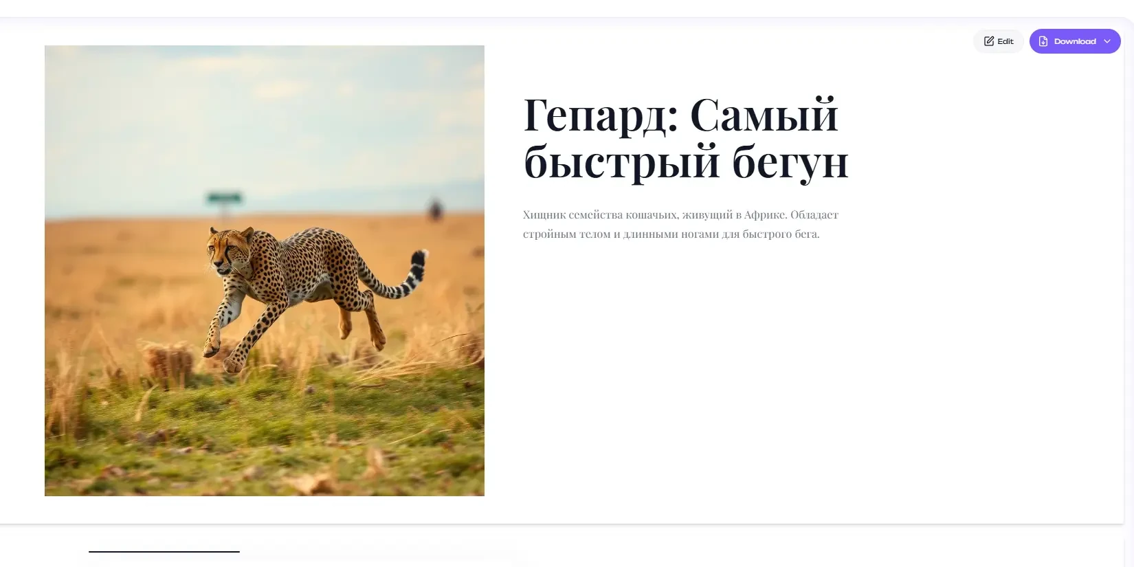 сгенерированная презентация