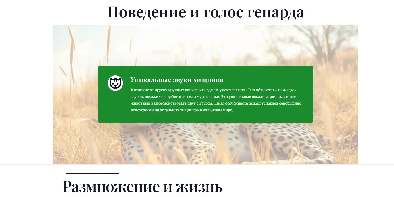 продолжение генерируемой презентации