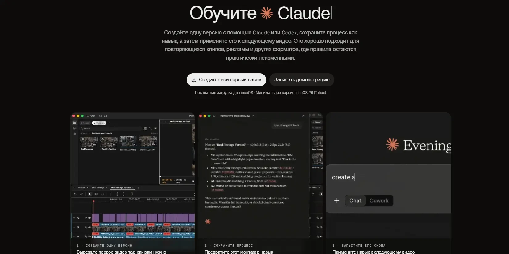 описание Palmier Pro